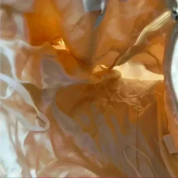 Vintage Fairycore Princess Coquette Embroidered Corset Prom Dress 8 Made In USA - Picture 7 of 15